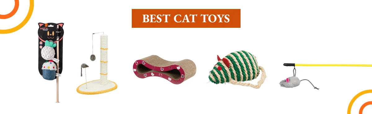 Best Cat Toys