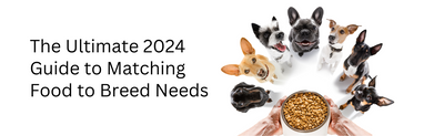 Decoding Dog Breeds: The Ultimate 2024 Guide to Matching Food to Breed Needs