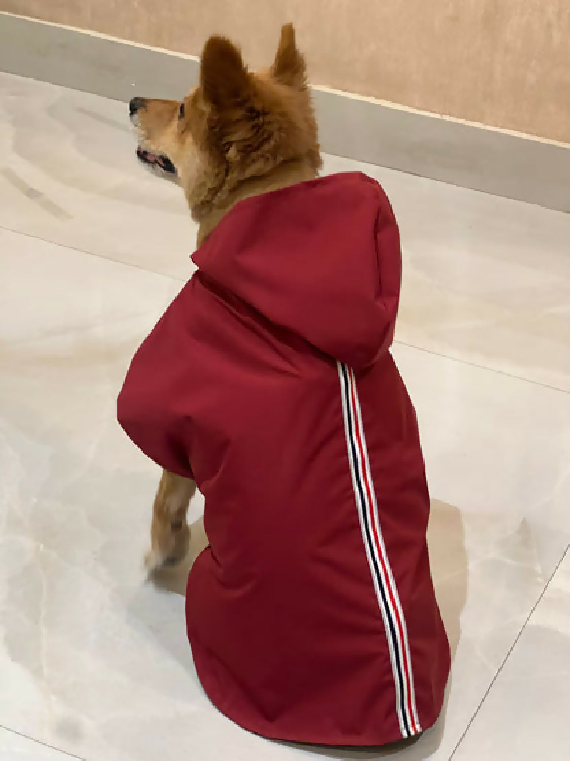 Maroon Windcheater