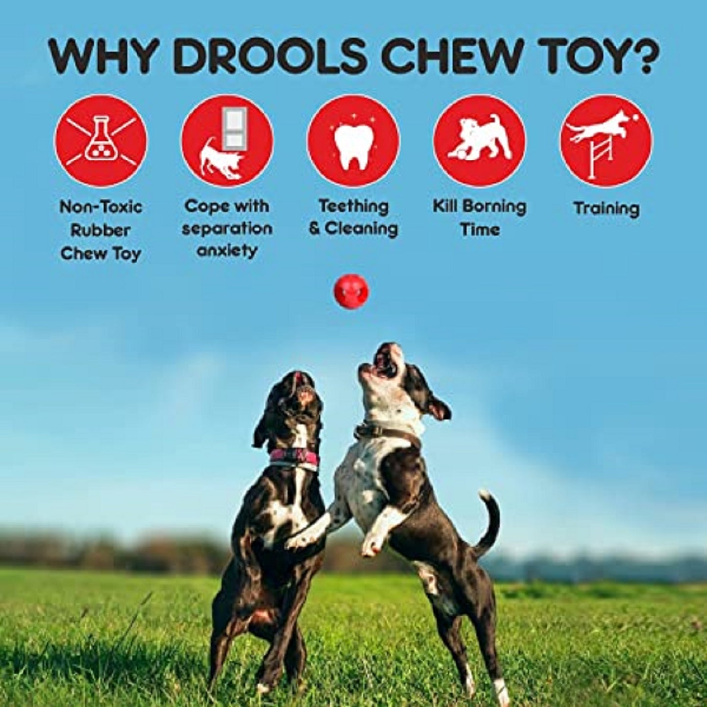 Drools Non - Toxic Rubber Hole Ball Chew Toy For puppy and Dogs