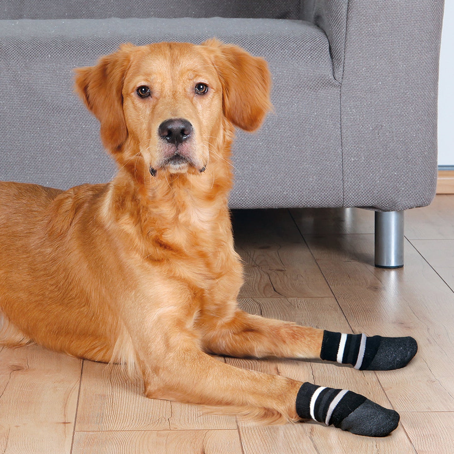Dog Socks For Puppy Small Medium Senior Dogs, Anti-Slip Dog Grip Socks