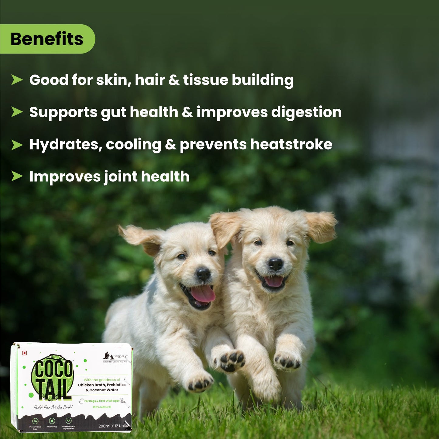 Coco Tail - Healthy Energy Drink for Dogs & Cats