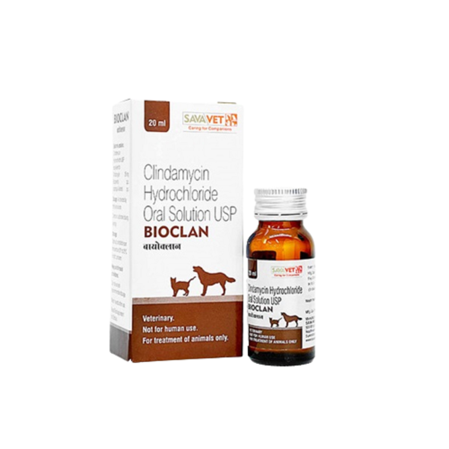 bioclan oral solution