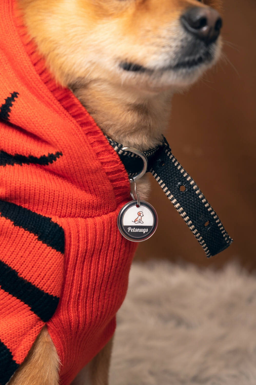 Premium NFC-QR Code Pet ID Tags - Dog Tags and Cat Tags, Connect to Online  Pet Profile, Receive Instant Scanned Location Email Alert(Blue Paw)