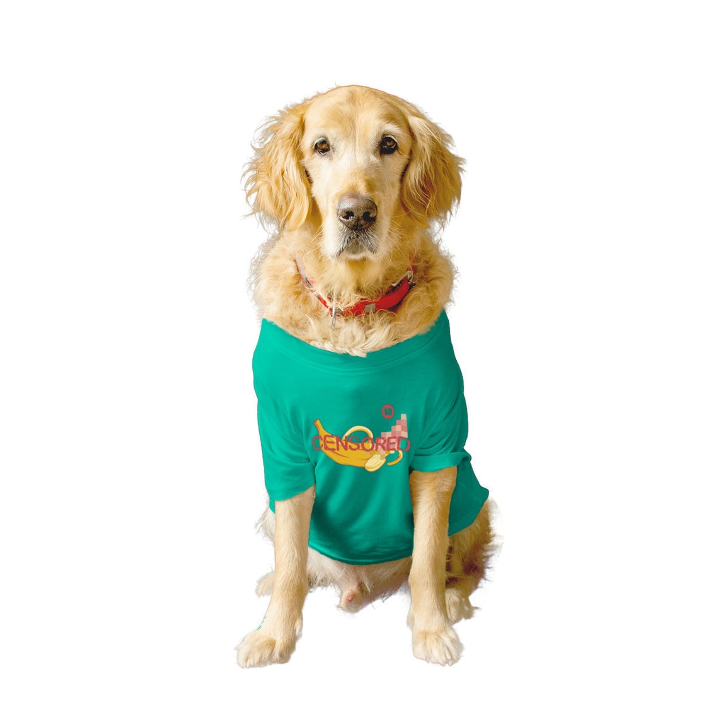 Ruse XX-Small (Chihuahuas, Papillons) / Aqua Green Ruse Basic Crew Neck "CENSORED" Printed Half Sleeves Dog Tee