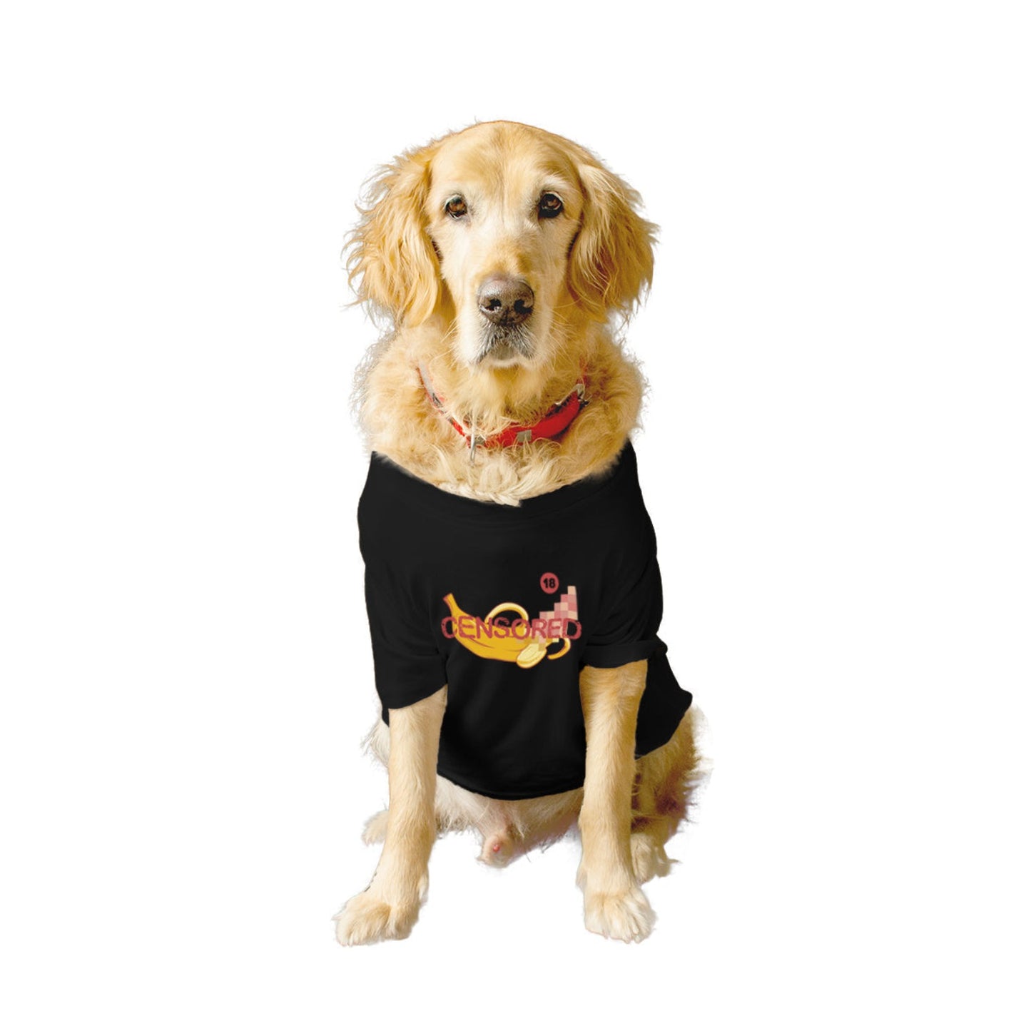 Ruse XX-Small (Chihuahuas, Papillons) / Black Ruse Basic Crew Neck "CENSORED" Printed Half Sleeves Dog Tee