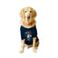 Ruse XX-Small (Chihuahuas, Papillons) / Navy Ruse Basic Crew Neck "Game Kid" Printed Half Sleeves Dog Tee