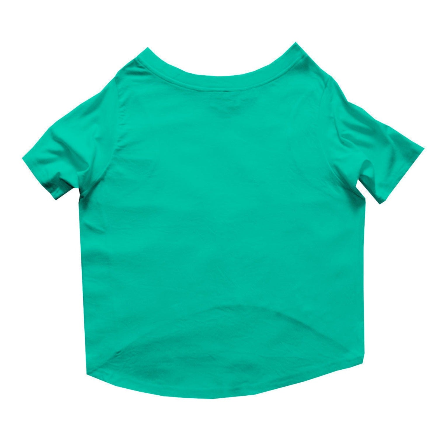 Ruse  / Aqua Green Ruse Basic Crew Neck "Ice Cream Ninja" Printed Half Sleeves Dog Tee20