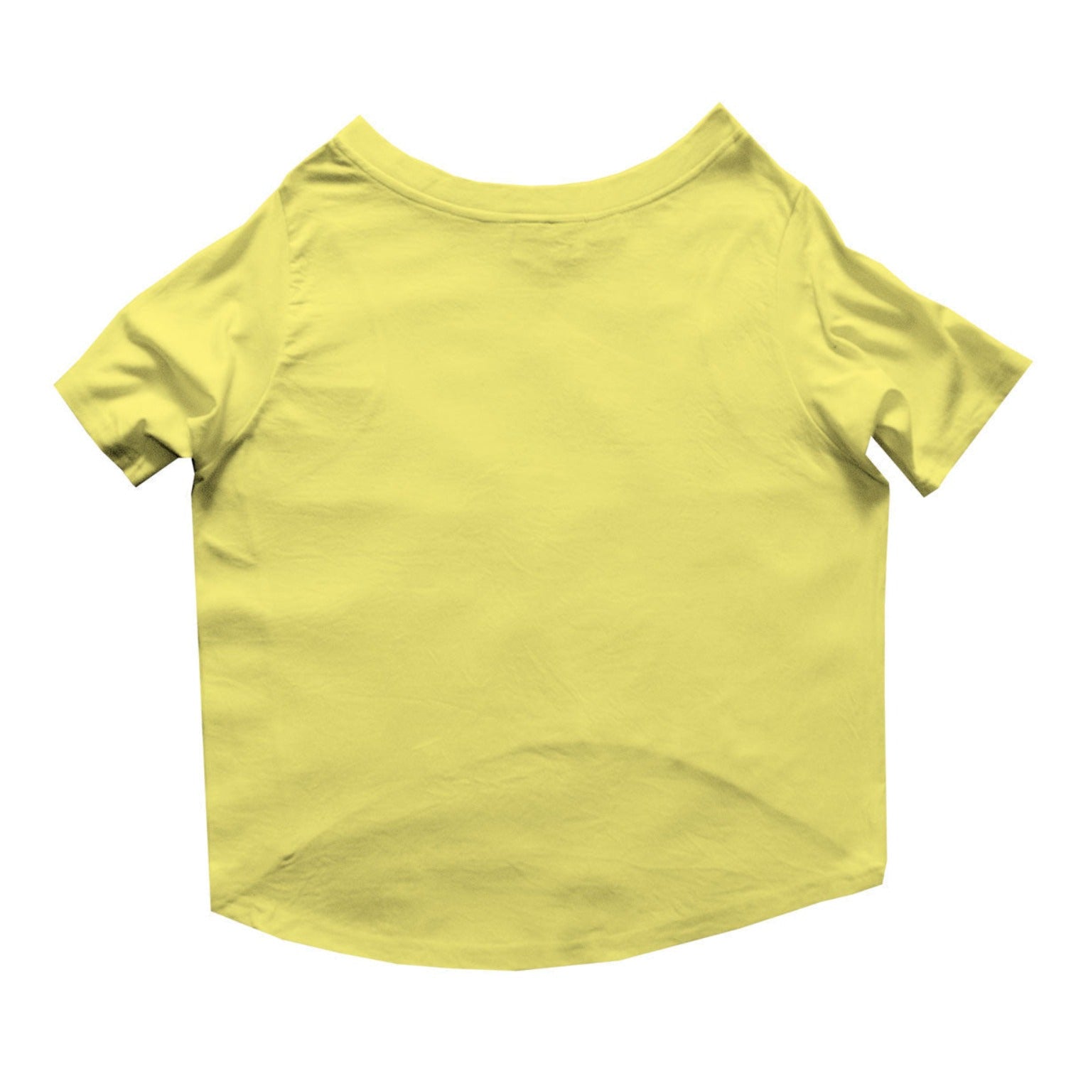 Ruse / Lemon Tonic Ruse Basic Crew Neck "It's My Birthday Bro" Printed Half Sleeves Dog Tee21