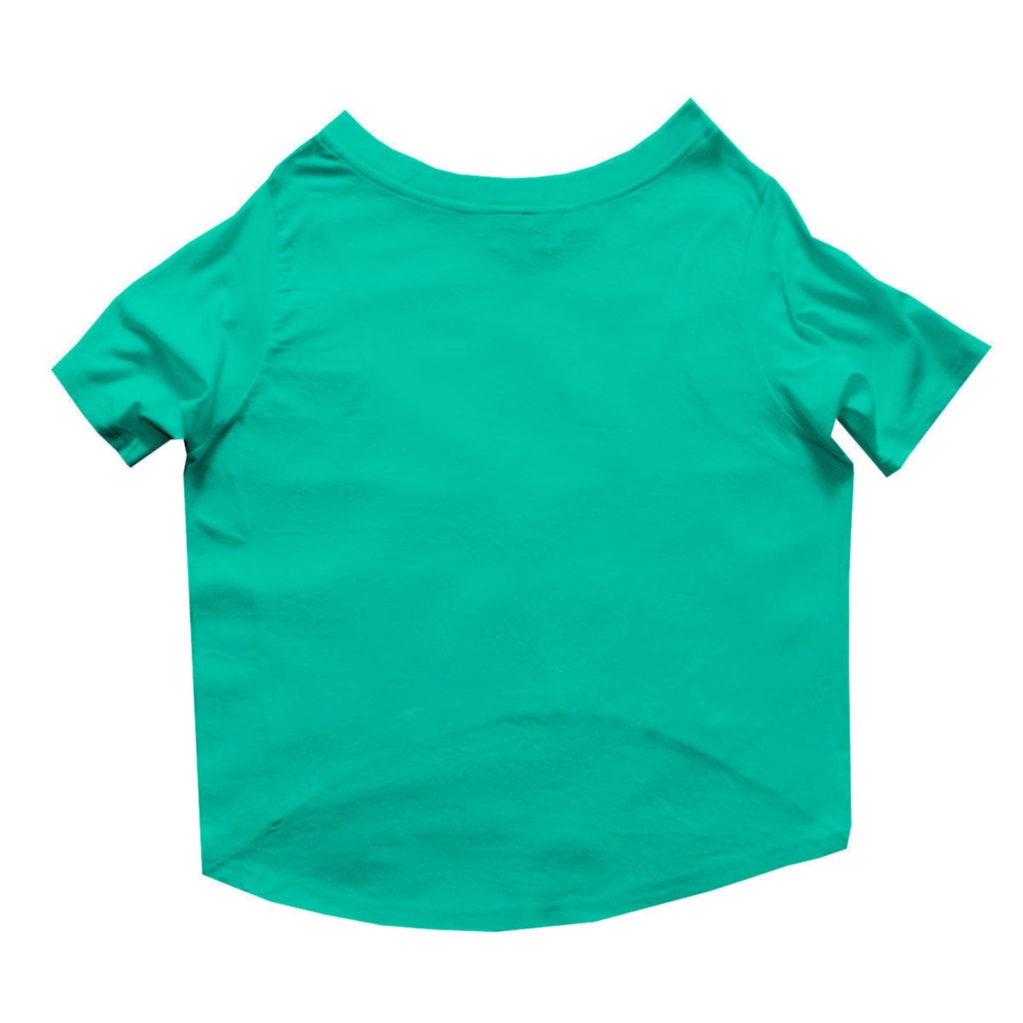 Ruse  / Aqua Green Ruse Basic Crew Neck "LGBTQ-1" Printed Half Sleeves Dog Tee19