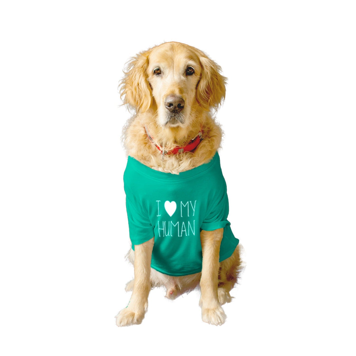 Ruse / i-love-my-human-crew-neck-dog-tee / Aqua Green