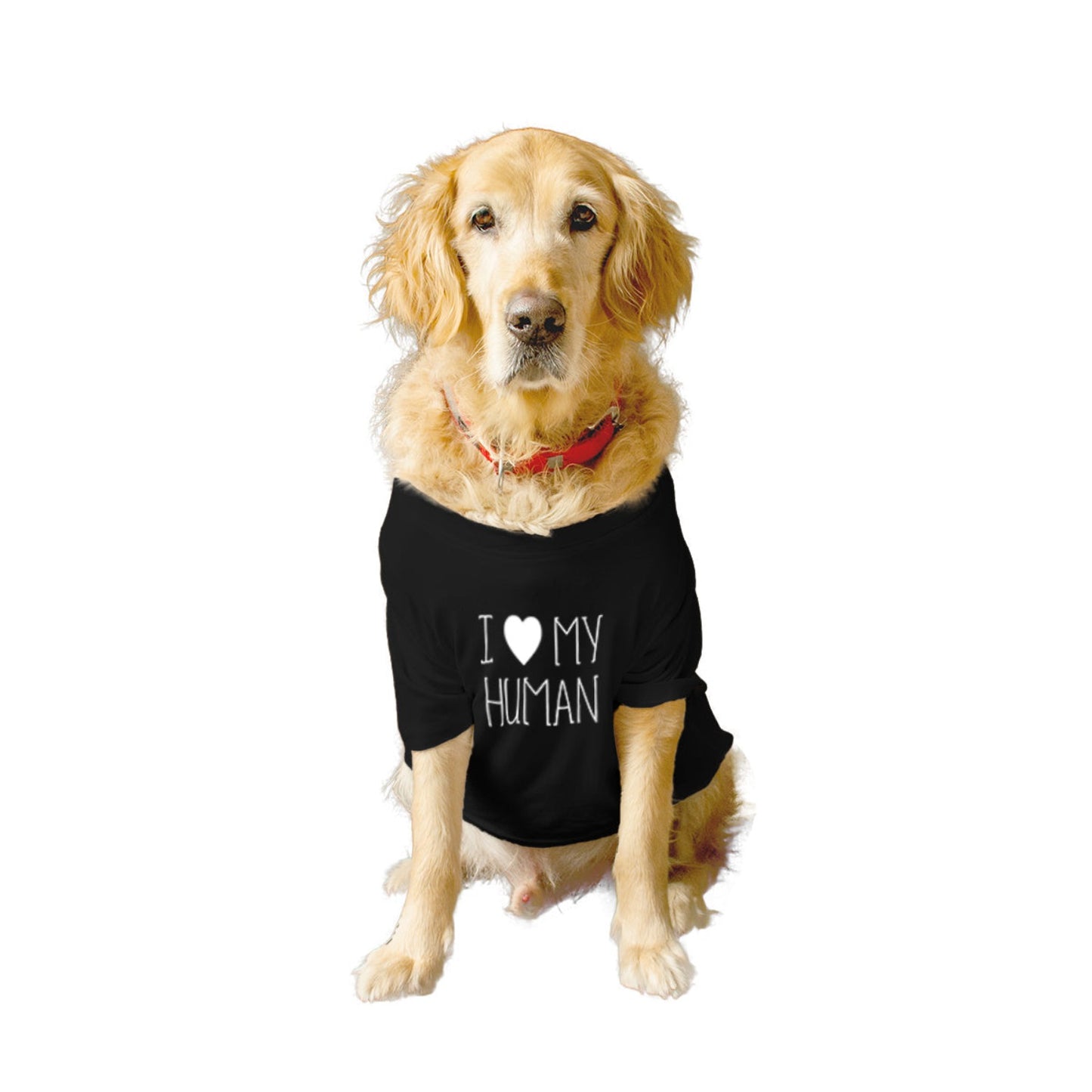 Ruse / i-love-my-human-crew-neck-dog-tee / Black