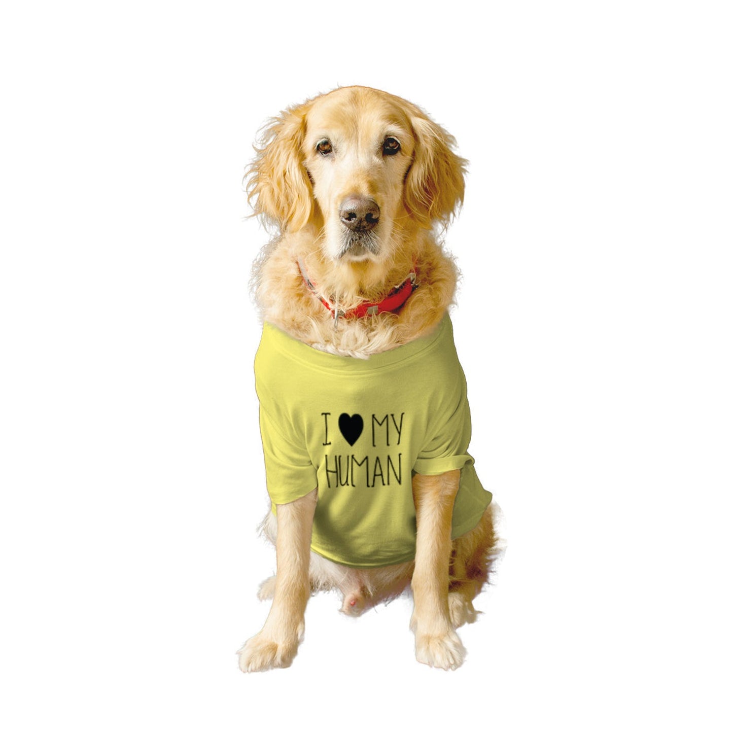 Ruse / i-love-my-human-crew-neck-dog-tee / Lemon Tonic