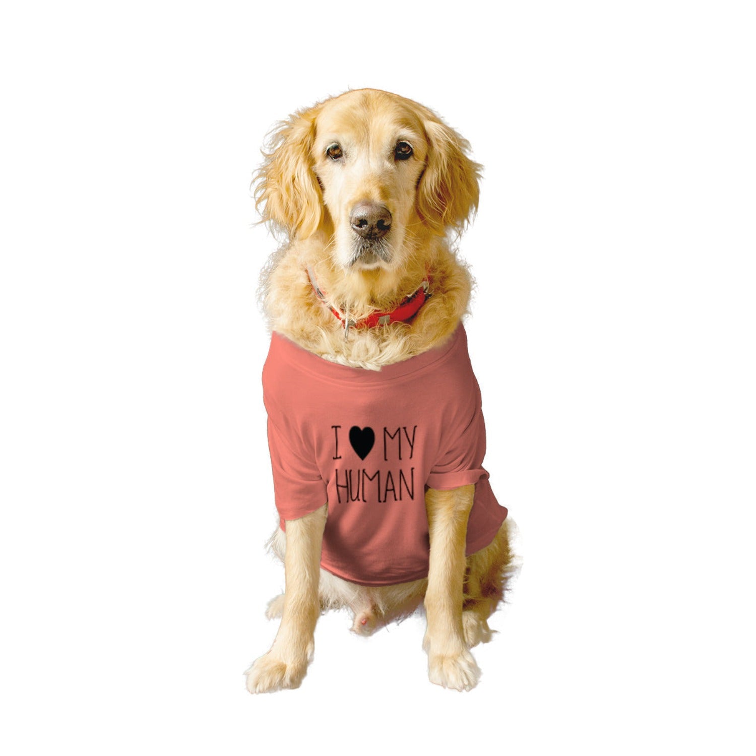 Ruse / i-love-my-human-crew-neck-dog-tee / Salmon