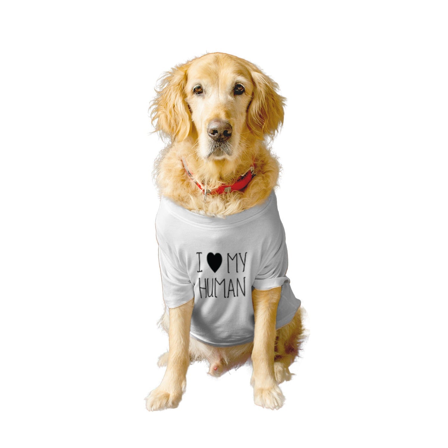 Ruse / i-love-my-human-crew-neck-dog-tee / White