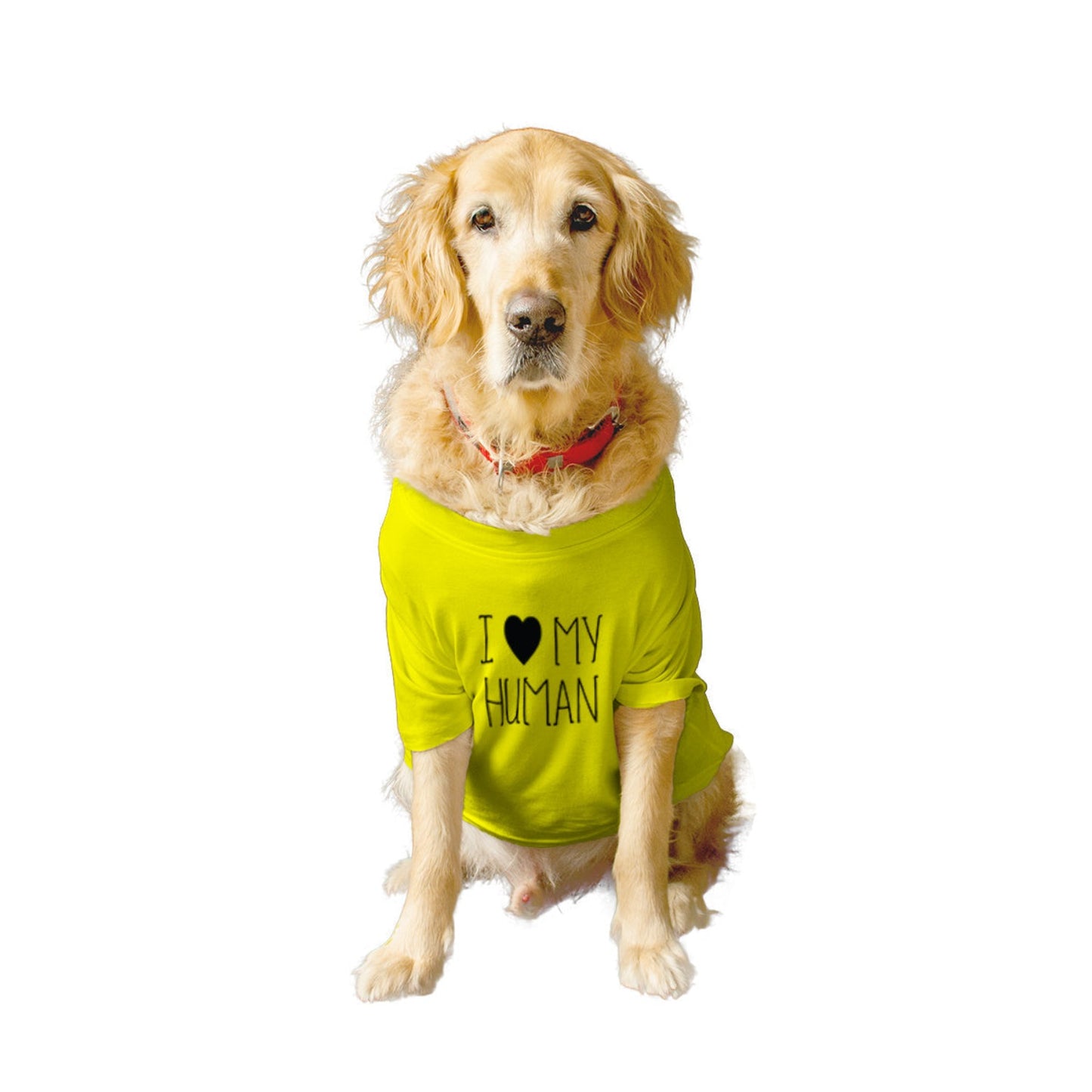 Ruse / i-love-my-human-crew-neck-dog-tee / Yellow