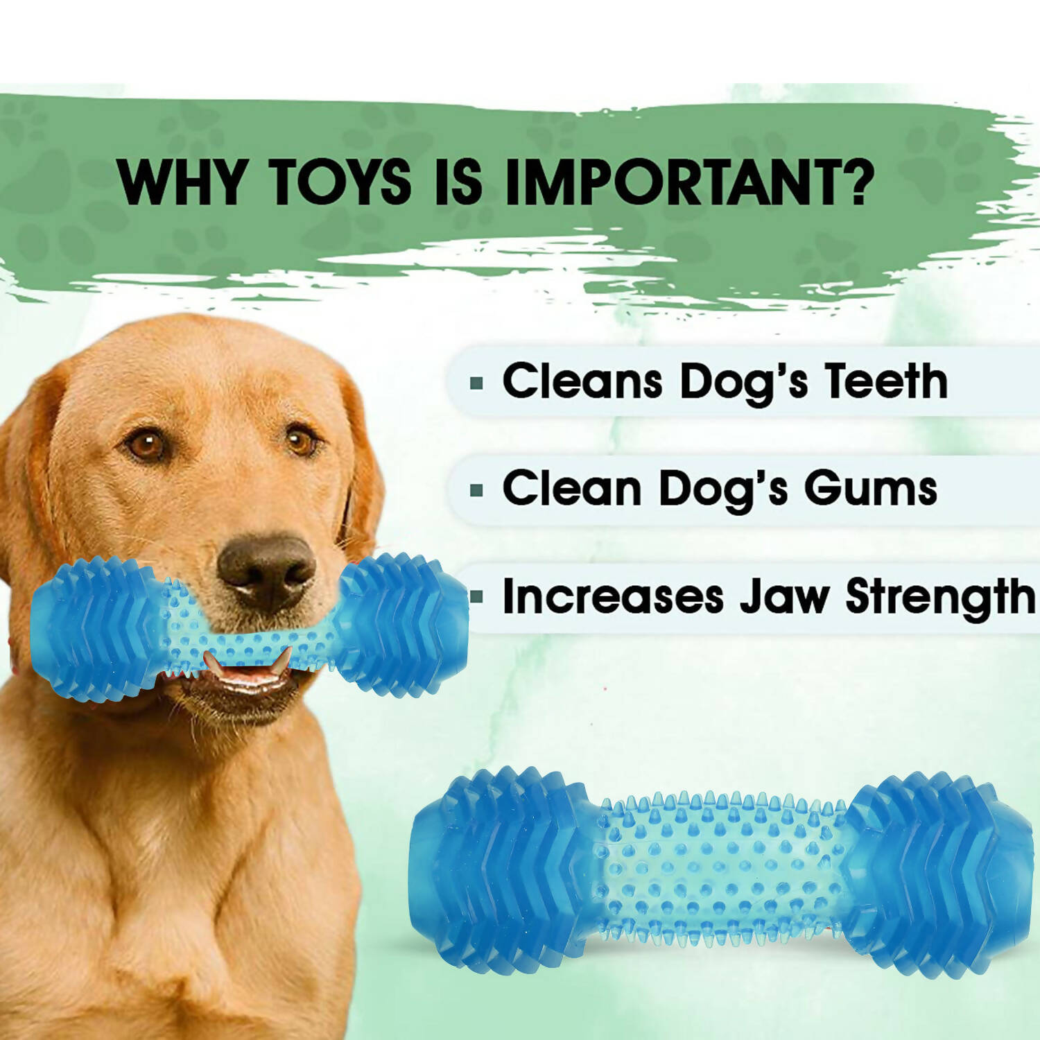 Basil Dumbbell Toy with Hollow Centre Toy For Dogs