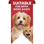 Taggie - Comic Pop Red Pet ID Tag For Dogs & Cats